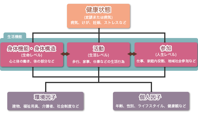 ICF図